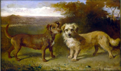 Companions